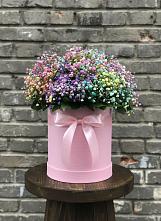 Цветочная композиция из Гипсофила и Розы в шляпной коробке в Белосельском