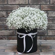 Цветочная композиция из Гипсофила в шляпной коробке в Белосельском