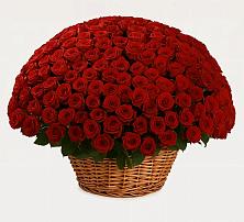 Премиум букет из: Розы в Белосельском